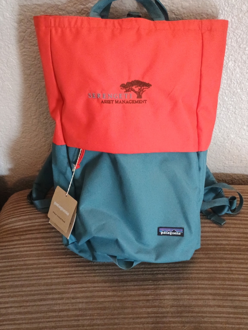 Patagonia Two-Tone Coral and Teal Backpack